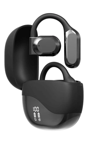 Vital Translate Buds